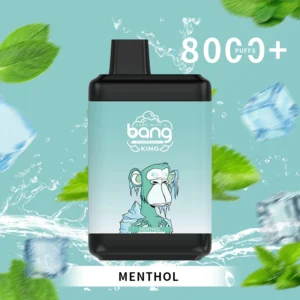 Bang King 8000 Puffs 0% 2% 3% 5% Vape descartável de nicotina atacado - WINGVAPE - 18