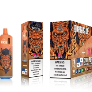 Bang Box 12000 Puffs 0% 2% 3% 5% Nicotină reîncărcabilă de unică folosință Vape cu ridicata - WINGVAPE - 16