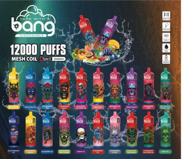Bang Box 12000 Puffs 0% 2% 3% 5% Nicotină reîncărcabilă de unică folosință Vape en-gros - WINGVAPE - 1